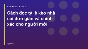 Read more about the article Cách đọc tỷ lệ kèo nhà cái đơn giản và chính xác cho người mới